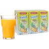 565290  Zumo+Leche Tropical Adarve Brik 200Cc Pack-6